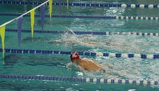 九游-国际游泳精英赛中国队多人破纪录，国际游泳冠军系列赛