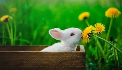 九游游戏中心-男子仰泳铜牌到手令人振奋，男子仰泳世界纪录