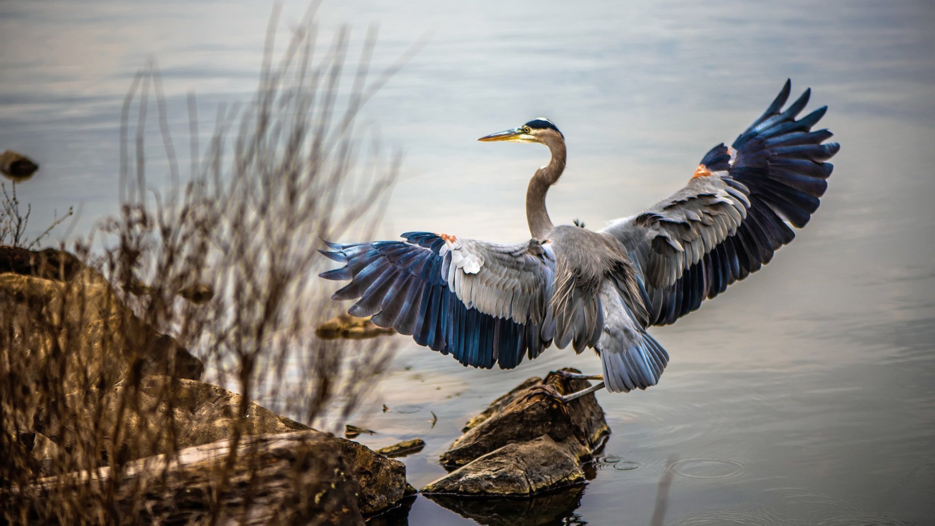 -_运动员日常：训练、休闲、互动全纪录_，运动员的日常