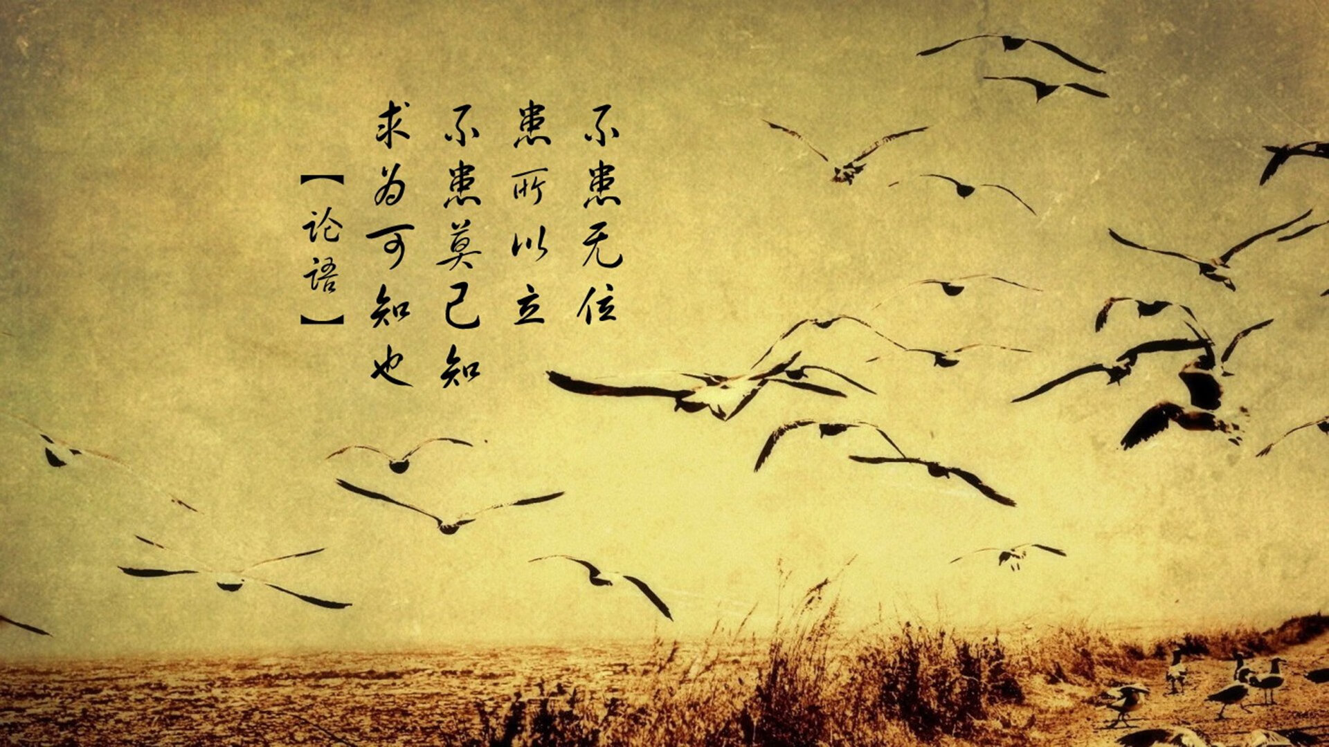 _观众热情高涨,现场气氛火爆!_,观众们热情高涨