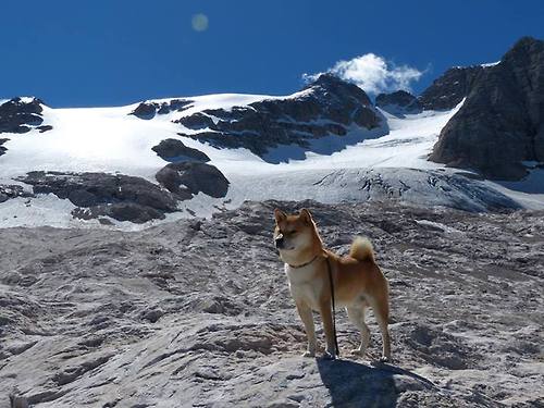 九游娱乐-“漂移艺术：弯道中的速度舞者”，漂移舞蹈视频