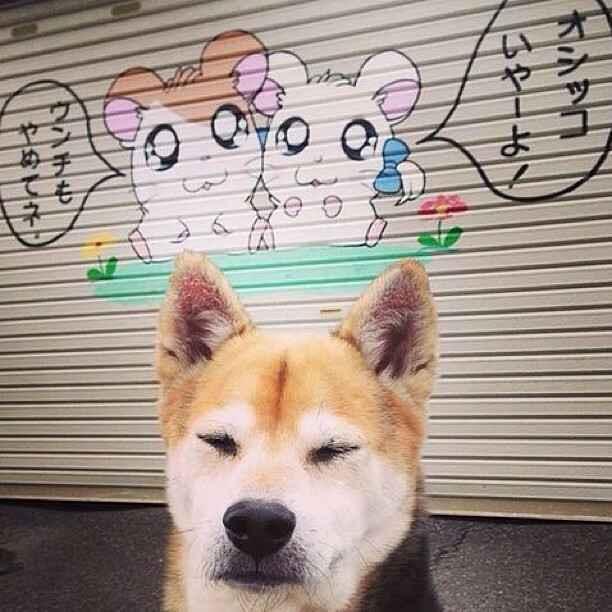 -区块链交易应用：优化联盟交易流程，让一切公平可信，区块链联盟链项目