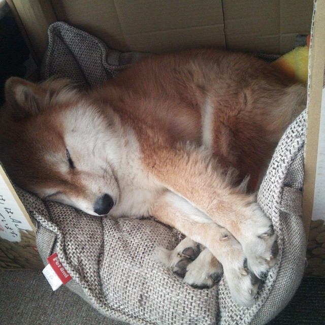 地区篮球联赛火热进行,推动地区体育产业发展,地方篮球协会简介