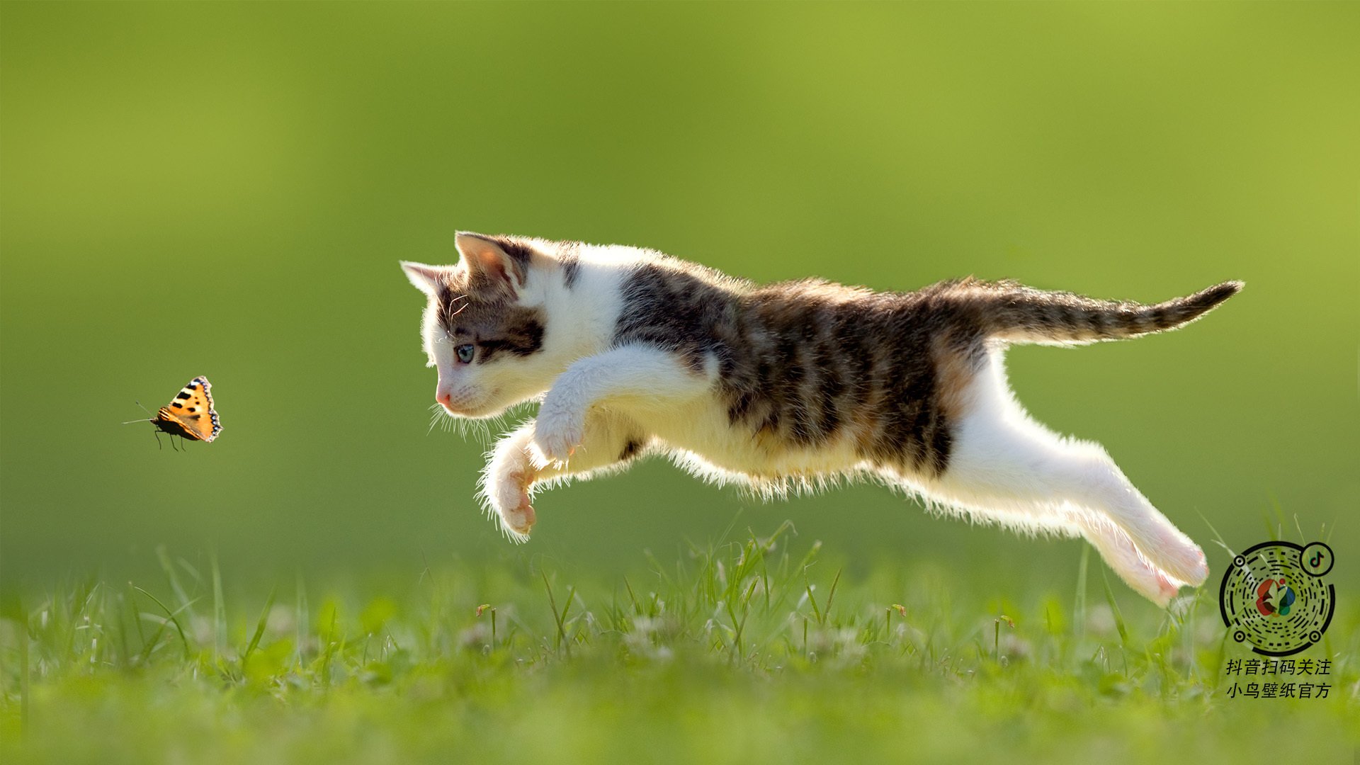 多特后防线失误，败给拜仁，多特后防线失误,败给拜仁队员