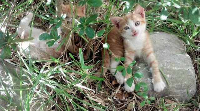 比赛中的趣味细节:隐藏的精彩瞬间,有趣的比赛赛制