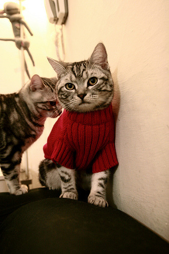 特色乡村足球园地，乡土运动新风潮，乡村足球队