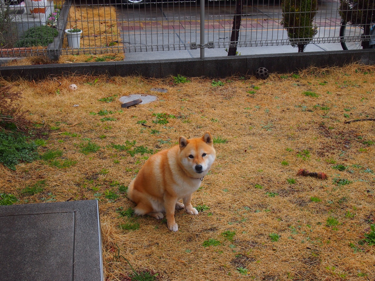 九游网-CBA球队集结备战，力争新赛季取得更好成绩，cba联赛新赛季