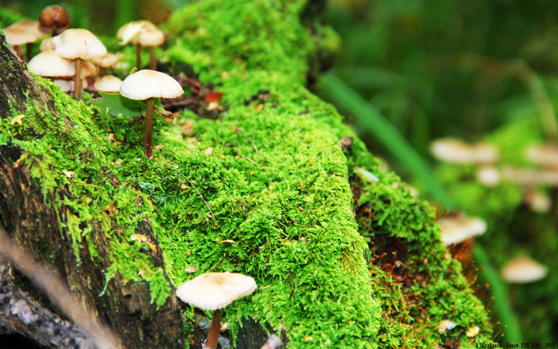 九游娱乐(jiuyou)官方网站-IG团队举行赛季心理适应能力提升培训