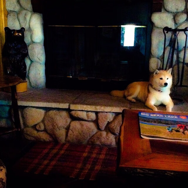 NBA季后赛对阵出炉,东西部格局全面洗牌,nba季后赛格局要被打破了