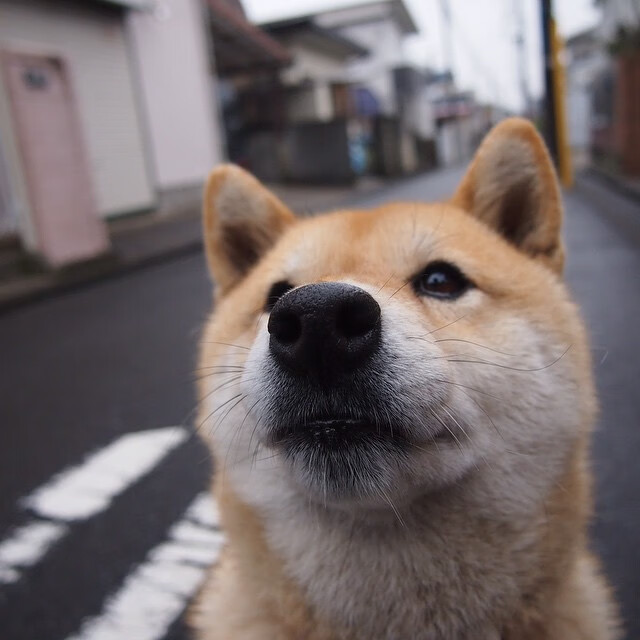 利物浦-热刺，客场遭受失利，争夺领跑权利暂时落空，利物浦热刺首发名单