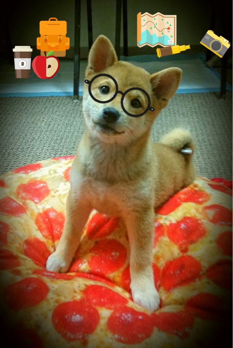 九游电脑版-步行者防守犯规频繁，输球原因明显，步行者防守_防守就是步行者的哲学