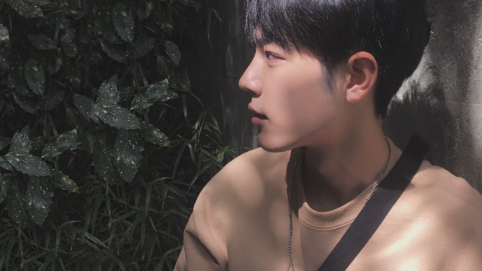 狼队客场作战热刺，谁将笑到最后，狼队[+1]vs热刺