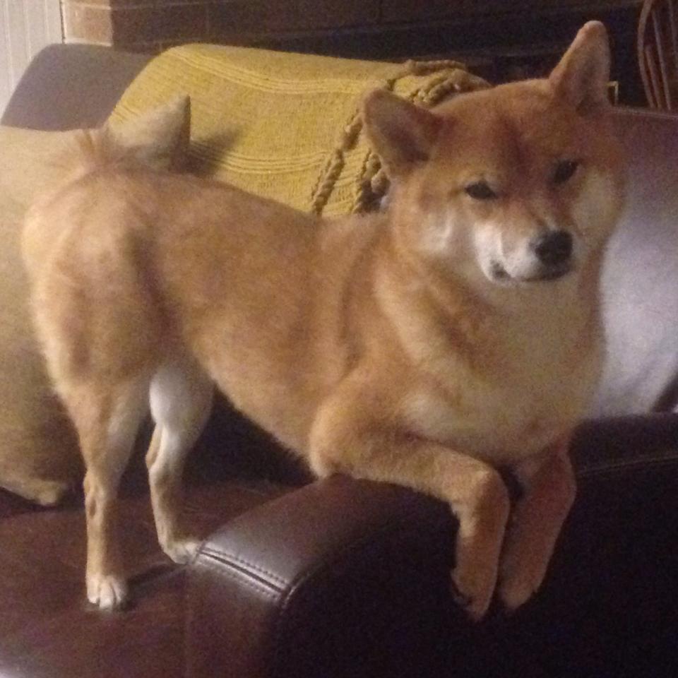 九游sports-球员之间的尊重是否影响比赛激烈程度，球员与球迷冲突