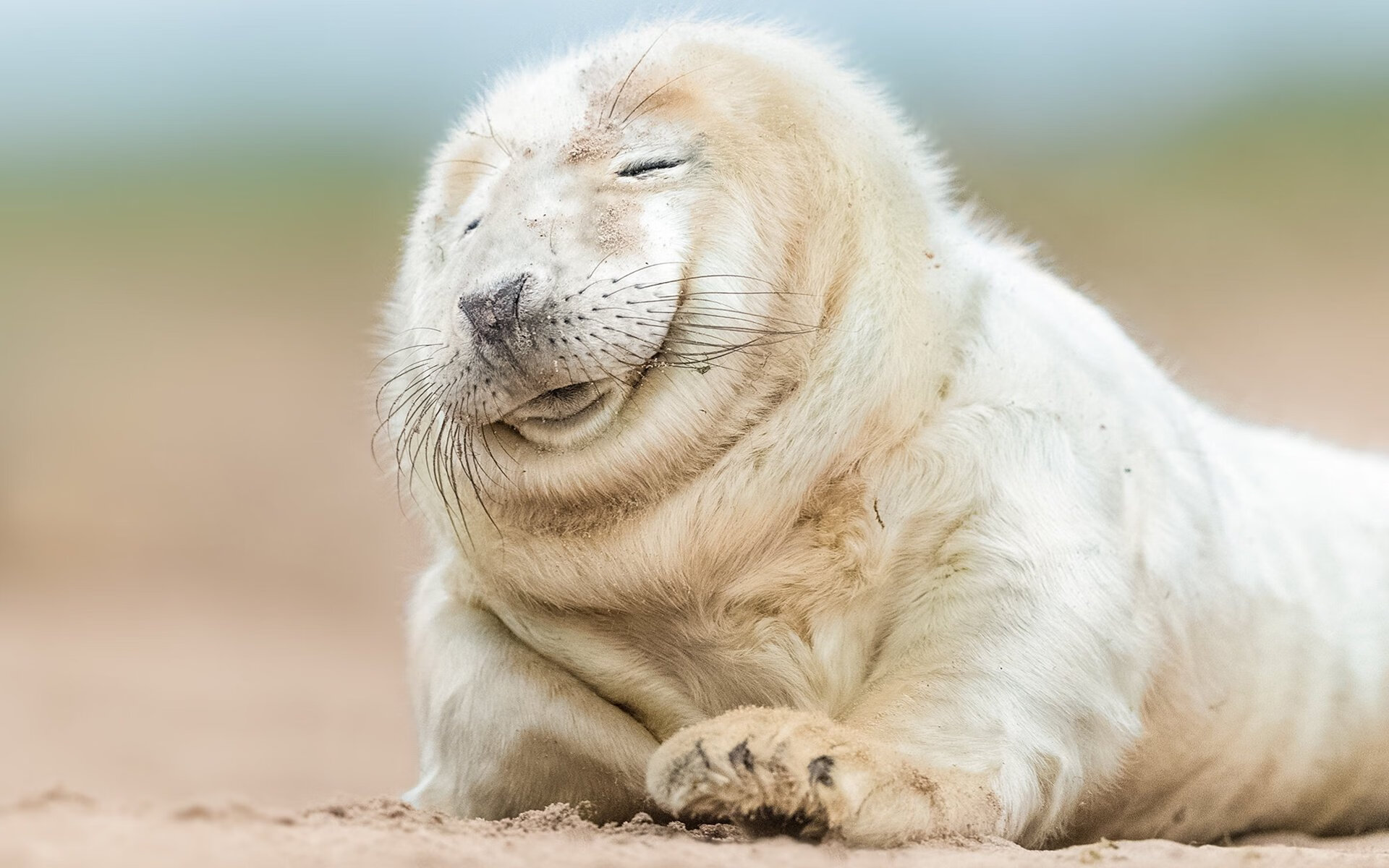 JIUYOU GAMING-瑞典战队 NiP 宣布更换阵容，迎接新挑战，瑞典队员名单