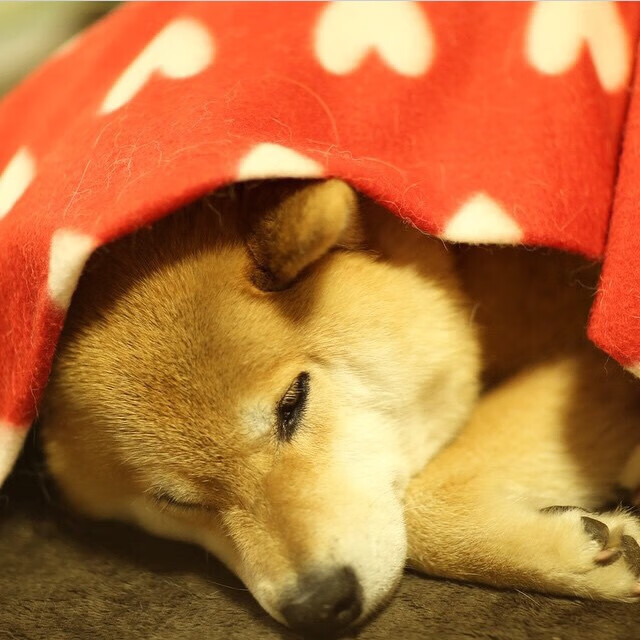 电竞游戏反作弊技术的最新突破与应用,09电竞平台 作弊玩家1