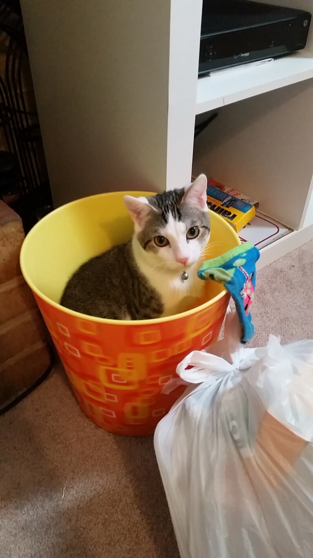 腾讯推动电竞赛事数字化转型,腾讯进军电竞