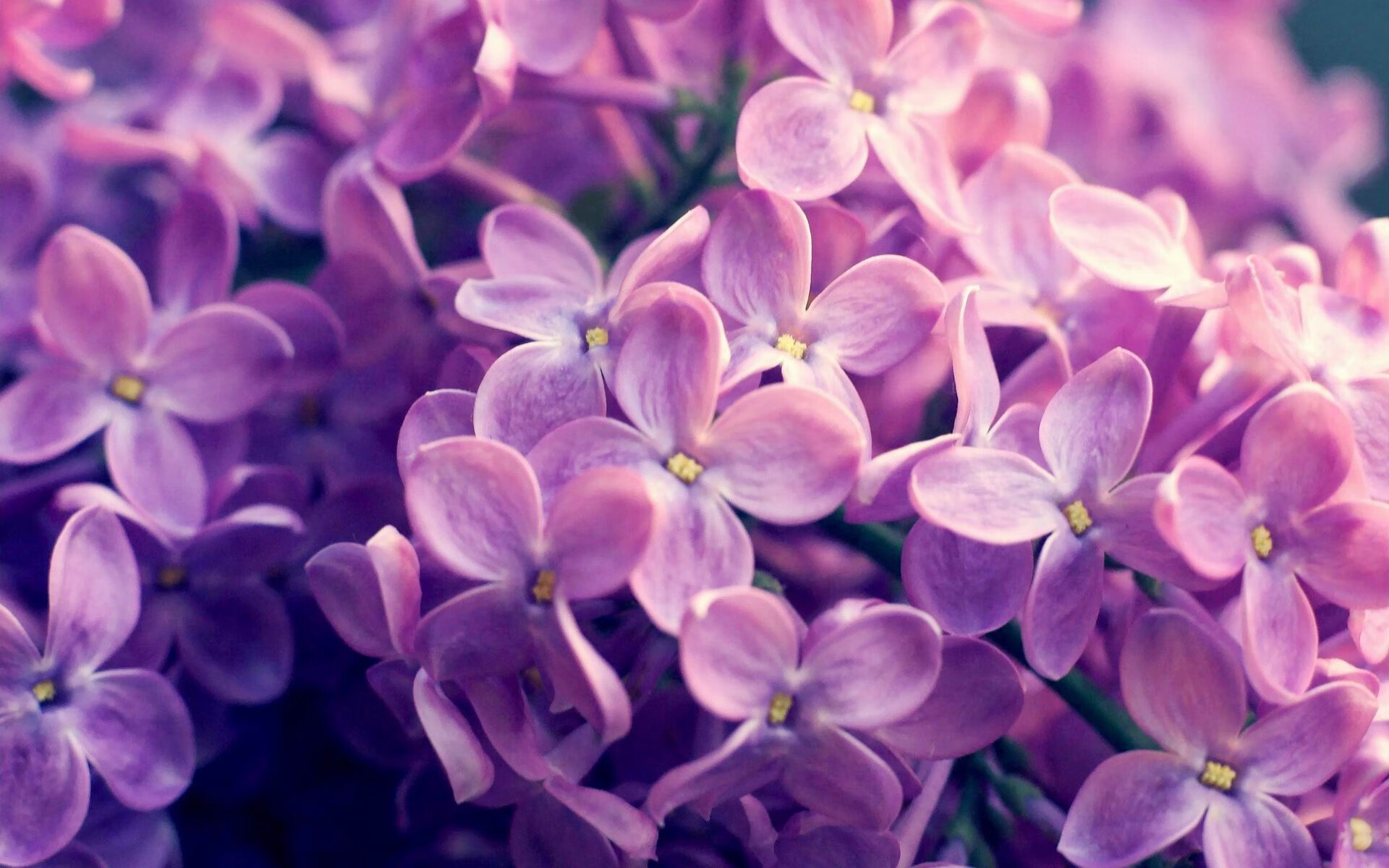 九游9游-葡萄牙体育球员伤病恢复情况通报，葡萄牙体育队阵容