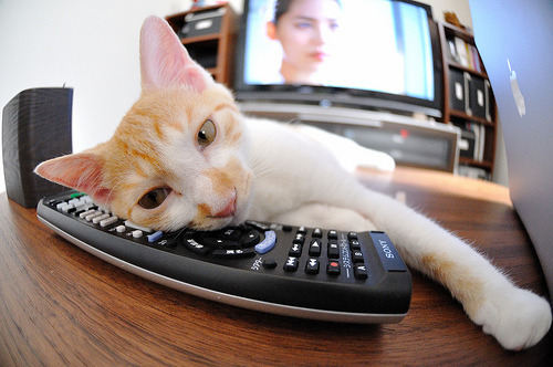 JIU YOU GAME-贡比索主场与对手战成平局，双方互不相让，bie贡