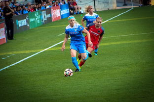 九游app官网下载-中国篮球职业联赛俱乐部财务风险管理，篮球俱乐部财务制度