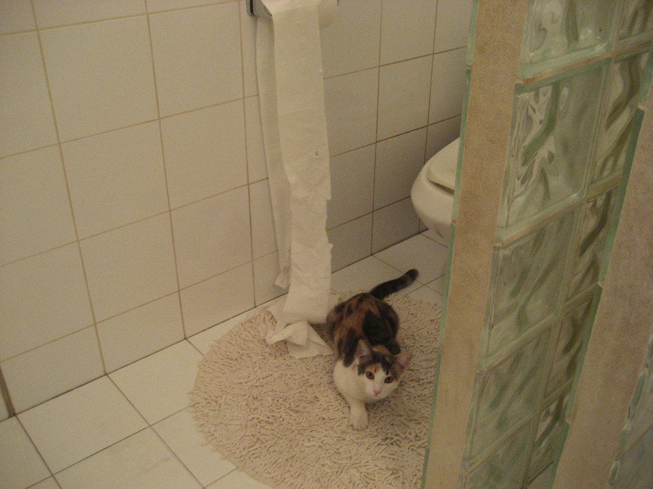 智能体育装备用户满意度及改进策略,智能体育使用的技术