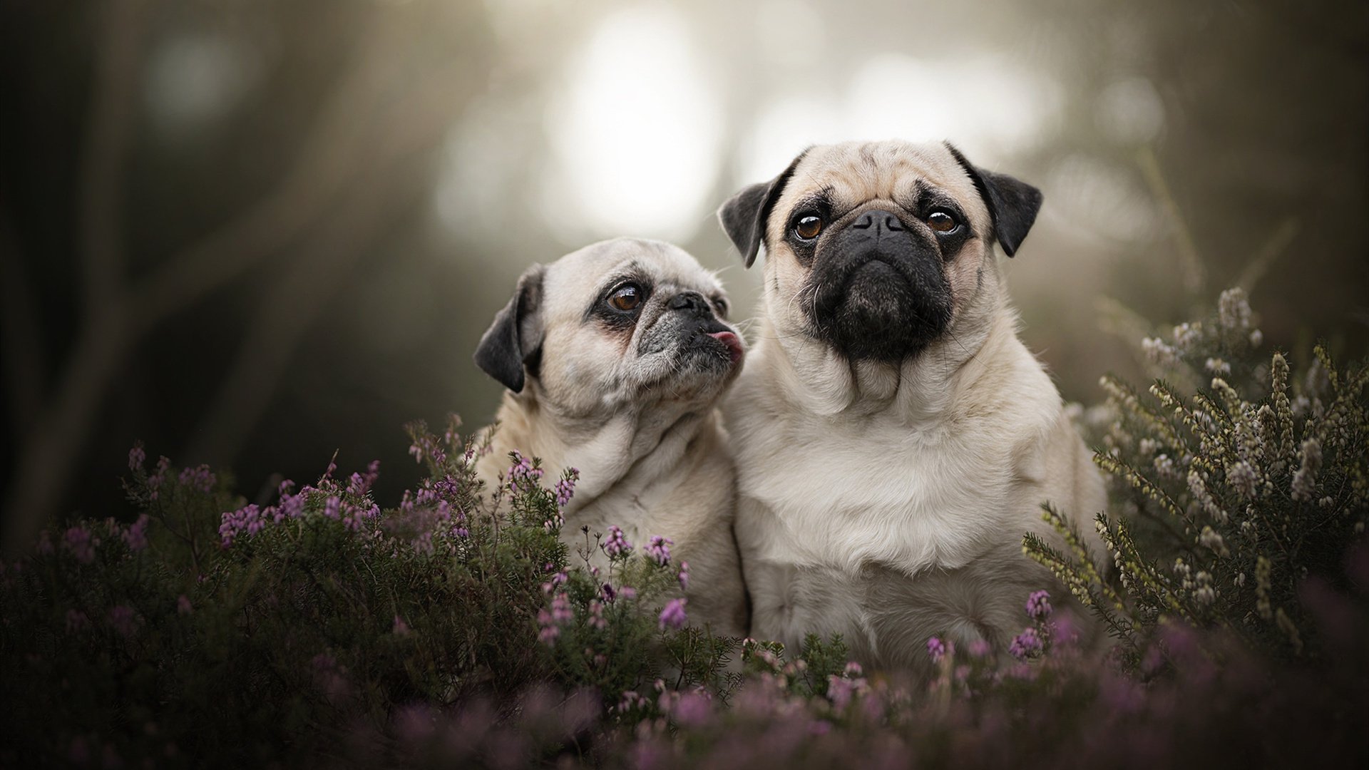 新闻中心召开高层管理会议,高层工作会议