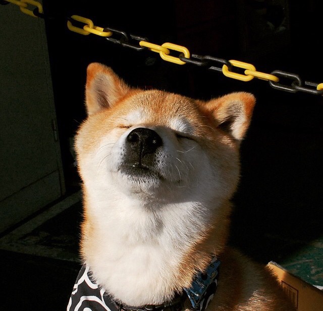 九游app官网下载-印度乒乓赛制变革：新赛制对球员的影响，印度乒乓球队