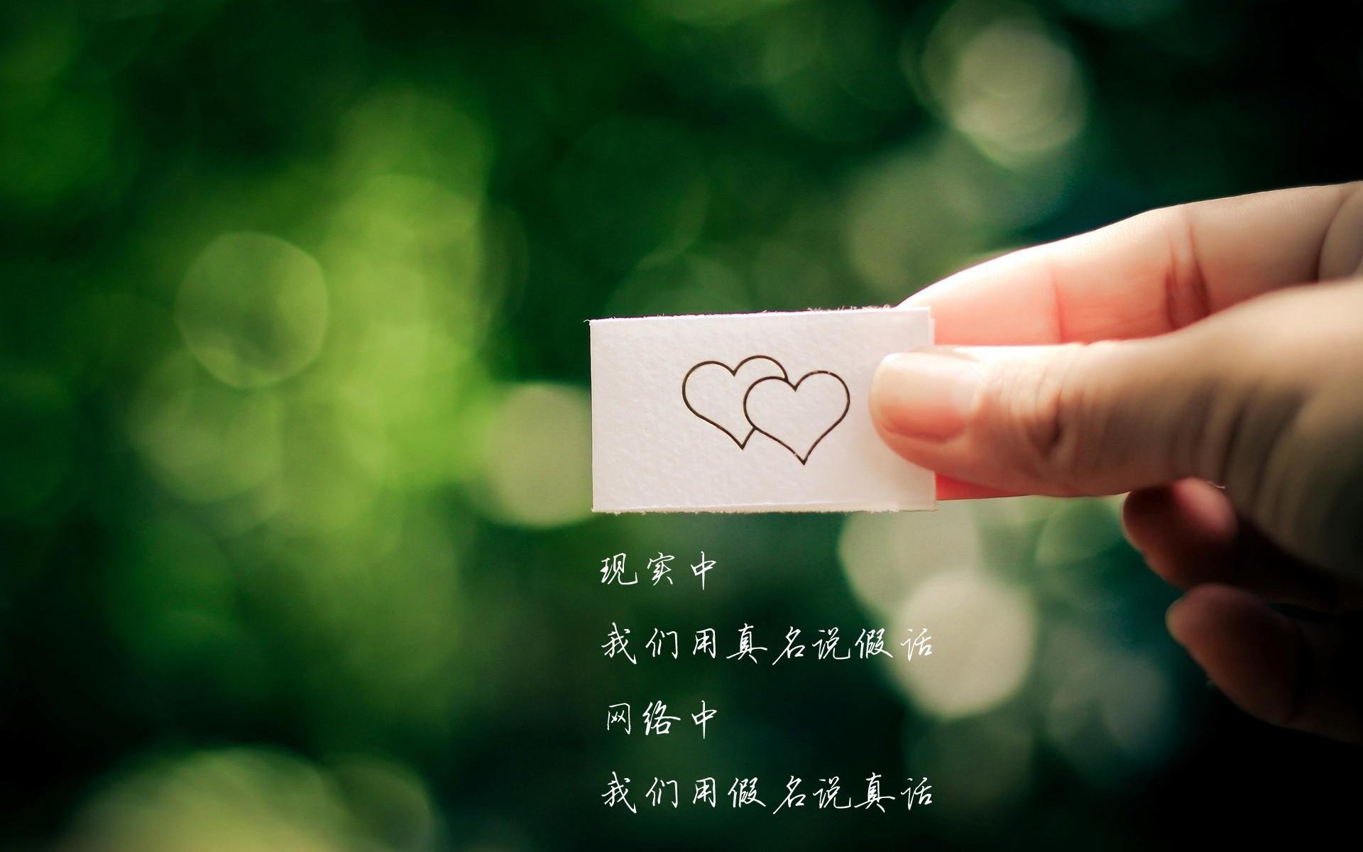 四国蝶泳划频对比揭示节奏差异，蝶泳四部分