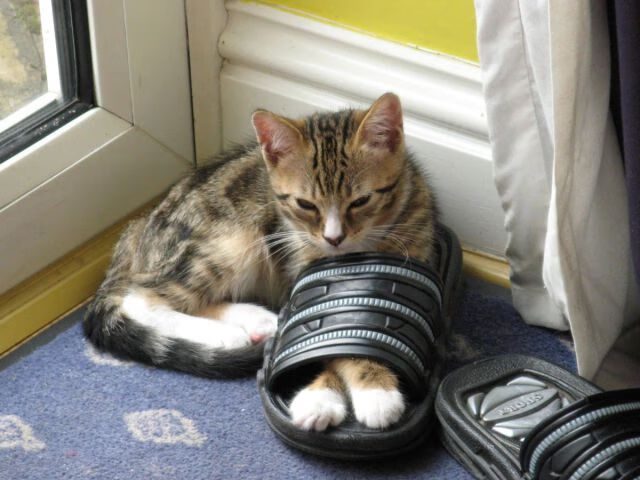 中超青训营举办家长开放日展示球员日常训练情况，中超青年球员新闻微博