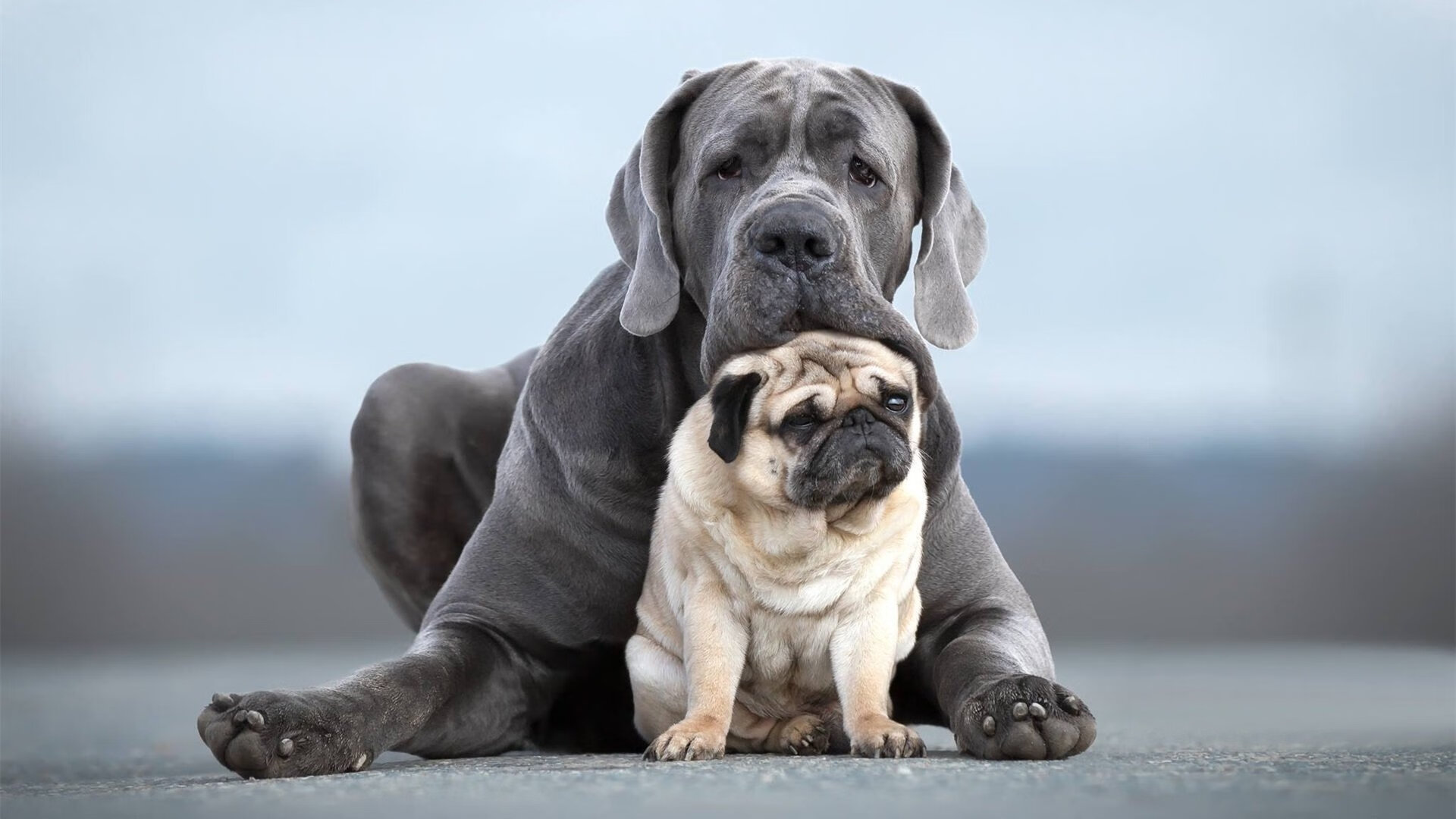 -易建联退役纪念赛众星云集致敬中国篮坛传奇，易建联退役了吗cba联赛