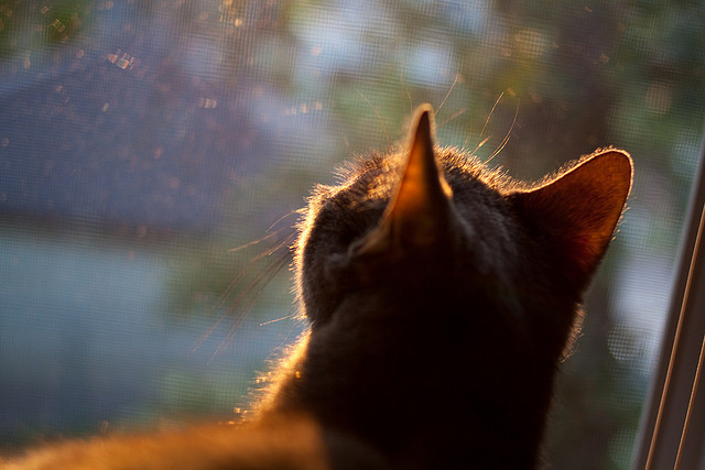 九游官网下载电脑版-球员运营个人品牌工作室，退役后职业转型有保障，球员专属logo