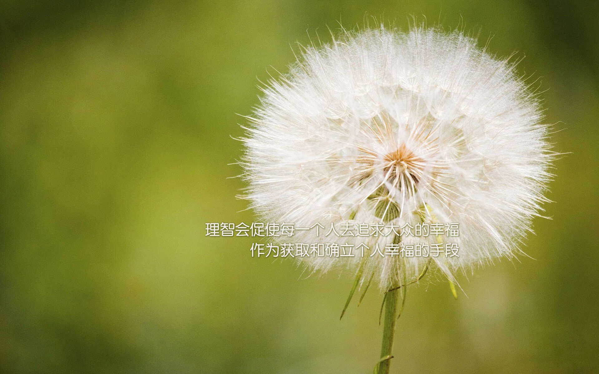 自由泳预赛摩纳哥选手全线晋级,自由泳预赛摩纳哥选手全线晋级了吗