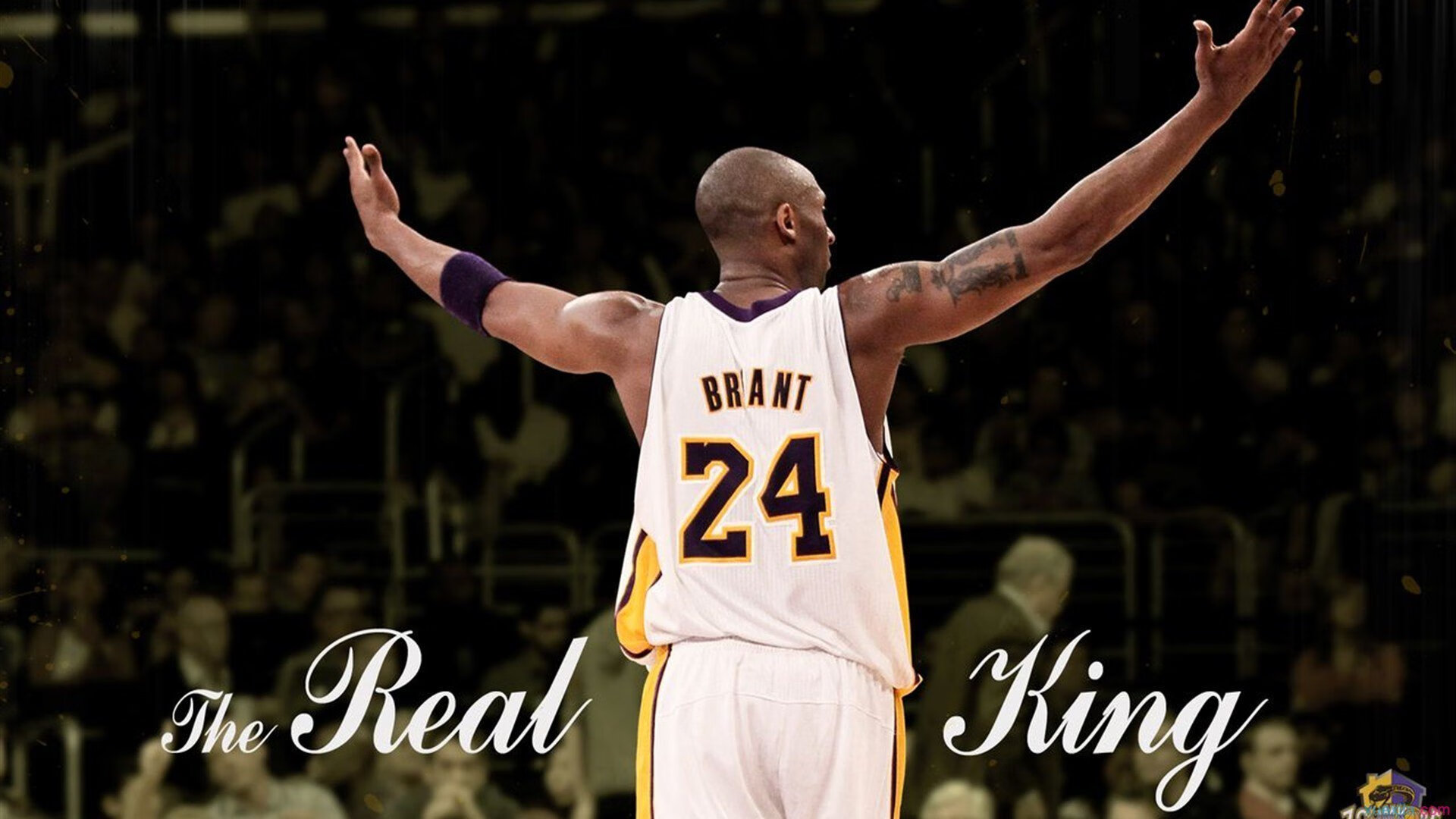 草地网球公开赛郑钦文首次闯入八强，超霸世家代言人